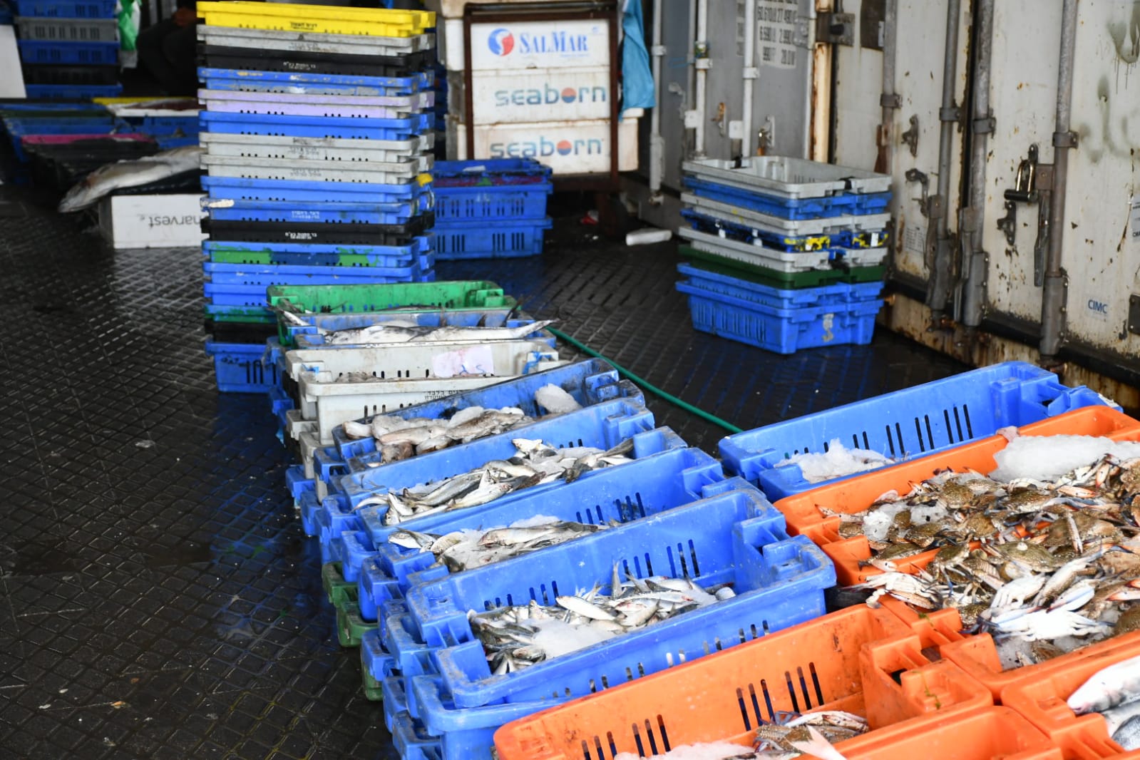 WhatsApp Image 2020-05-18 at 2.29.43 AM.jpeg.jpeg